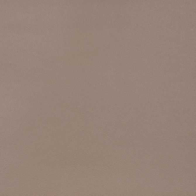 Sunbrella Fabric 10200-0010 Capriccio Taupe Sunbrella Horizon Capriccio Marine Upholstery Sunbrella® Engineered Leather USA or Imported 5-Year, 3-Year Microbial Pink Staining Horizontal: and Vertical: 54 in. - My Fabric Connection -