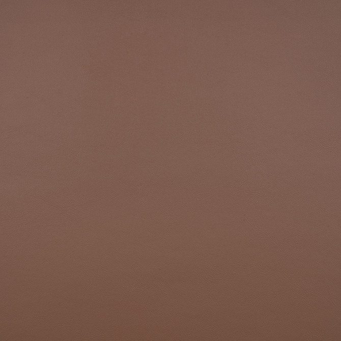 Sunbrella Fabric 10200-0013 Capriccio Mink Sunbrella Horizon Capriccio Marine Upholstery Sunbrella® Engineered Leather USA or Imported 5-Year, 3-Year Microbial Pink Staining Horizontal: and Vertical: 54 in. - My Fabric Connection -