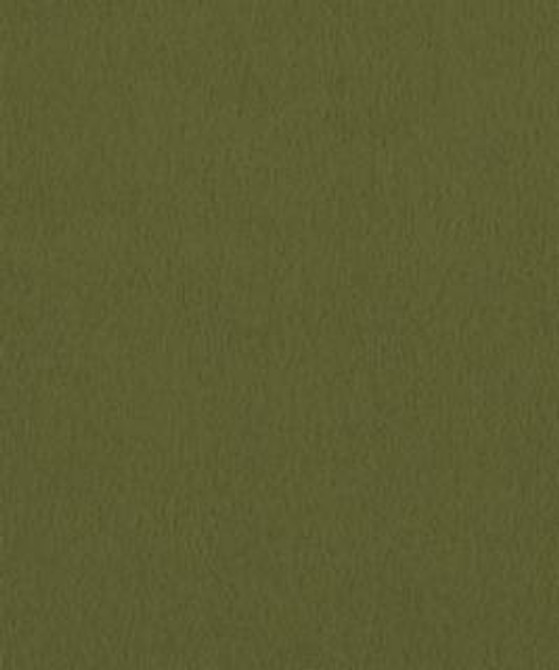 Barrow Industries Fabric Santiago 2104 M10751 Fabric 100% POLYESTER KNIT PILE FABRIC Imported 63,000 DOUBLE RUBS </p><p>Repeat: H: , V: 57" - My Fabric Connection -