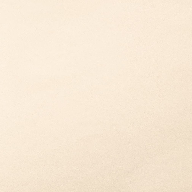 Charlotte Fabric D3223 Ecru Microsuede II 100% Polyester Asia Exceeds 20,0000 Wyzenbeek Rubs (Heavy Duty) </p><p>Repeat: No Repeat 54 Inches - My Fabric Connection -