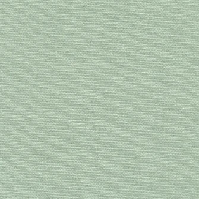 Charlotte Fabric D3412 Spray Washed Cotton 16oz, 100% Cotton Made In USA Exceeds 20,0000 Wyzenbeek Rubs (Heavy Duty) </p><p>Repeat: No Repeat 54 Inches - My Fabric Connection -