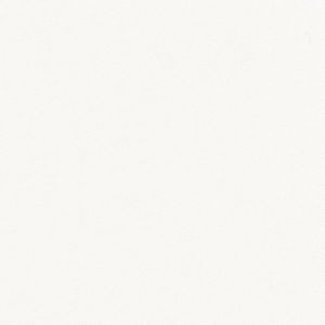 Norbar Fabric Trace White CAMPO 100% COTTON USA 55 - My Fabric Connection -