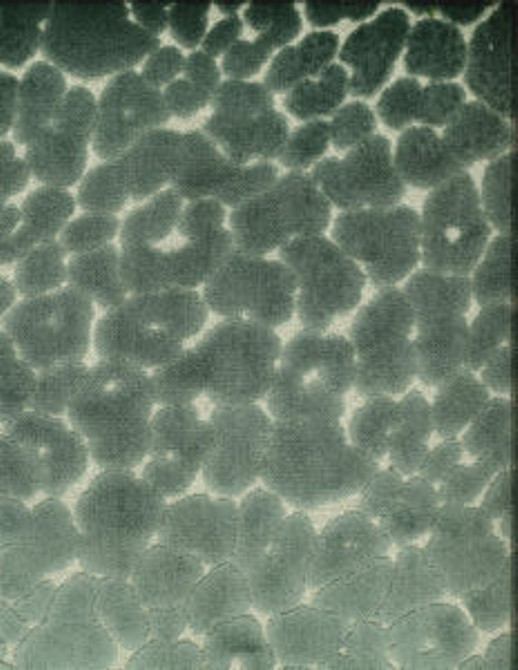 Norbar Fabric Chevy Sea HEIRLOOM 60% RAYON 40% POLYESTER INDONESIA 14"V 14"H 58 - My Fabric Connection -