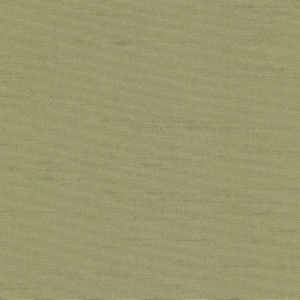 Norbar Fabric Kent Meadow 53 KENT 100% POLYESTER NORTH AMERICA 57 - My Fabric Connection -