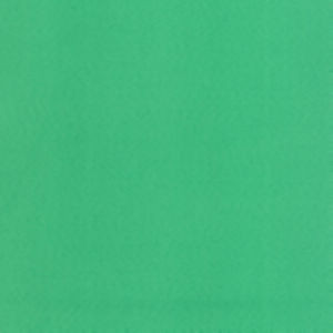 Norbar Fabric Supra Grass 86 SUPRA SUEDE 75% POLYESTER 25% COTTON SPAIN 54" - My Fabric Connection -