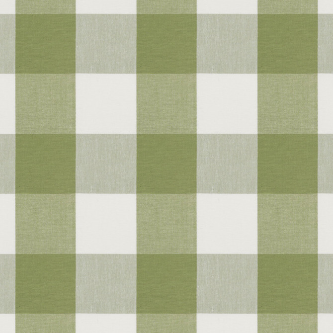 Aoc Fabric Kiawah 1 Seedling THE ART OF COLOR DOWN THE LANE 100%COT INDIA Horizontal: 6.000 and Vertical: 6.000 54 in - My Fabric Connection -