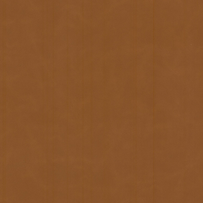 Stout Fabric Cervantes 2 Pecan LEATHER LOOKS V 100%PVC 1%OTH CHINA PERFORMANCE RATED FABRIC FLAME RETARDANT-N.F.P.A. 260A CLASS 1 CATB 117-2013 WYZENBEEK 500 000 DOUBLE RUB WEAR TEST(EXTREMELY HEAVY DUTY) Horizontal: 0.000 and Vertical: 0.000 54 in - My Fabric Connection -