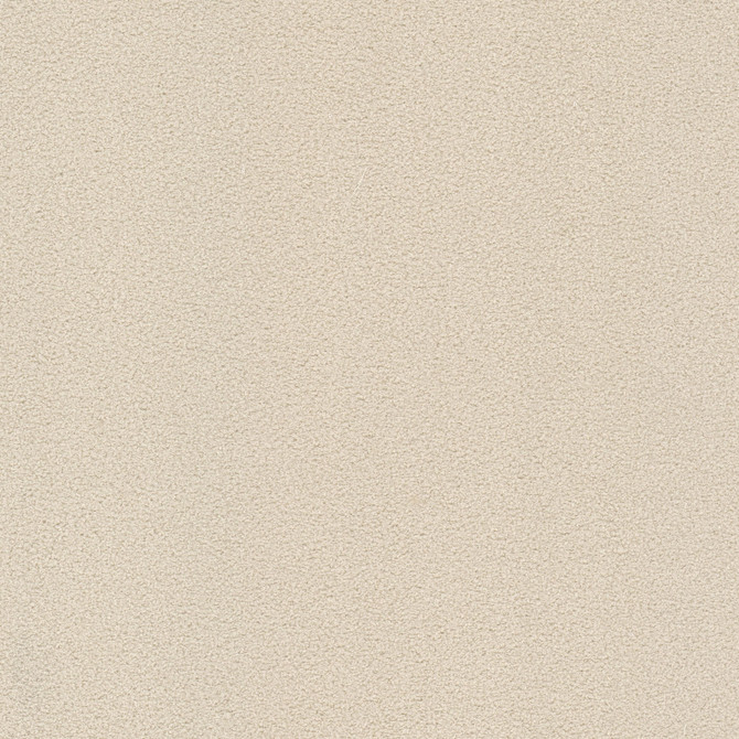 Stout Fabric Finnerty 2 Ecru CLOUD NINE 100%POL INDONESIA Horizontal: 0.000 and Vertical: 0.000 54 in - My Fabric Connection -