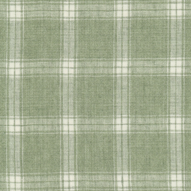 Stout Fabric Middletown 1 Grass RAINBOW LIBRARY SAGE/CYPRESS 100%LIN INDIA Horizontal: 3.375 and Vertical: 3.375 54 in - My Fabric Connection -