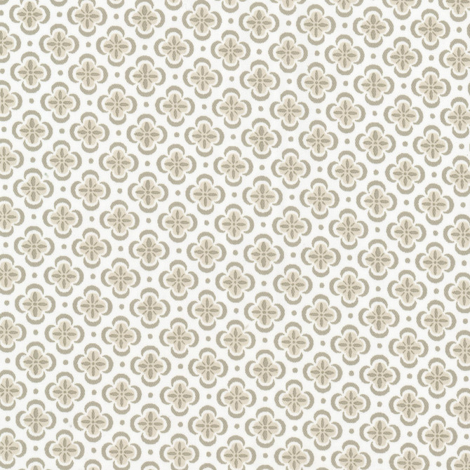 Stout Fabric Basilica 4 Putty RAINBOW LIBRARY ALMOND/GRANITE 100%COT INDIA Horizontal: 1.500 and Vertical: 1.500 54 in - My Fabric Connection -