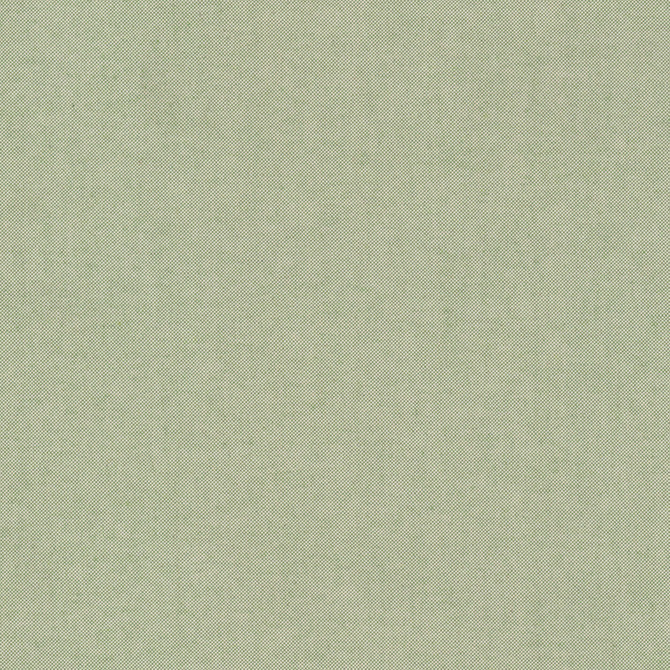 Stout Fabric Ponder 1 Spring RAINBOW LIBRARY SAGE/CYPRESS 88%COT 12%POL USA Horizontal: 0.000 and Vertical: 0.000 54 in - My Fabric Connection -