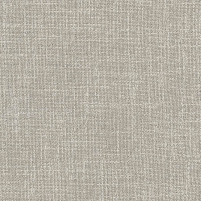 Enthusiasm Metal by Carole Designer Fabric Dove Wing 100% Polyester INDIA N/A None 54" - Swanky Fabrics -