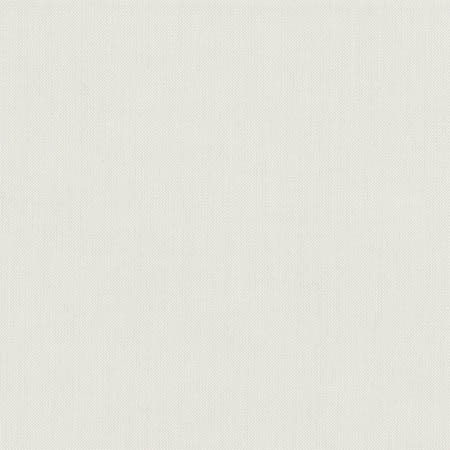 Carole Fabric Freshman Pebble Dove Wing 100% Polyester INDIA None 54" - My Fabric Connection -