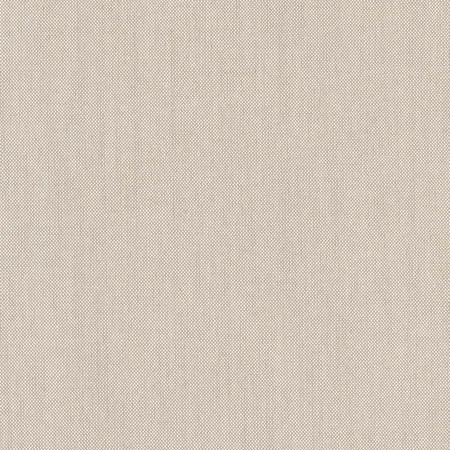 Carole Fabric Freshman Stone Dove Wing 100% Polyester INDIA None 54" - My Fabric Connection -
