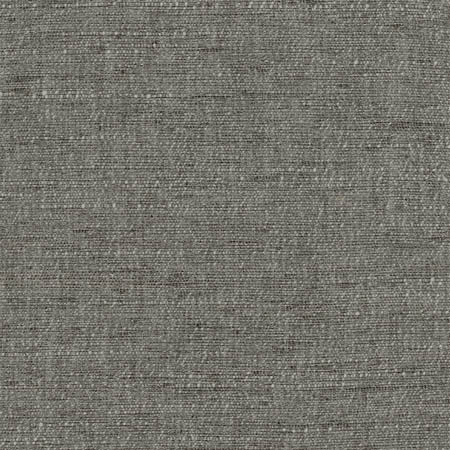 Training Day Charcoal by Carole Designer Fabric Dove Wing 92% Polyester, 8% Cotton INDIA N/A None 54" - Swanky Fabrics -