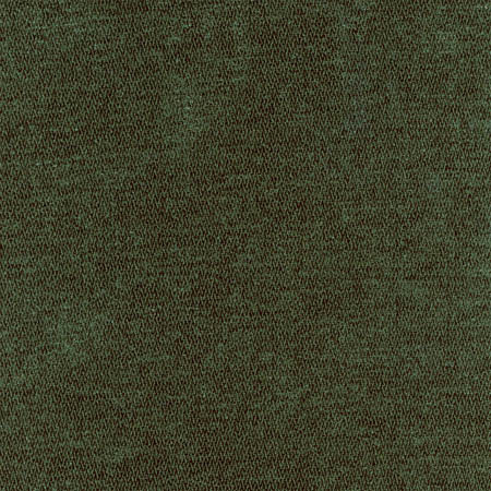 Bright Future Forest Green by Carole Designer Fabric First Class 100% Polyester CHINA 100,000 Wyzenbeek Double Rubs None 54" - Swanky Fabrics -