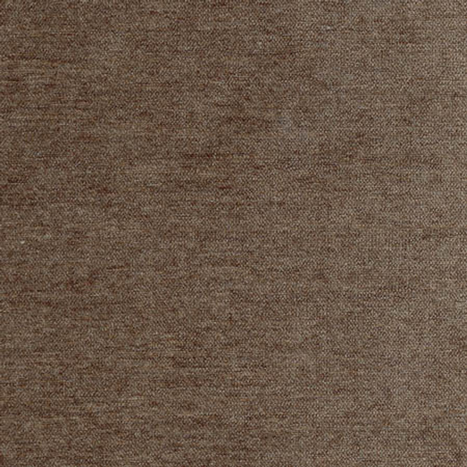 Total Dream Mink by Carole Designer Fabric First Class 100% Polyester-Softened TURKEY N/A None 54" - Swanky Fabrics -