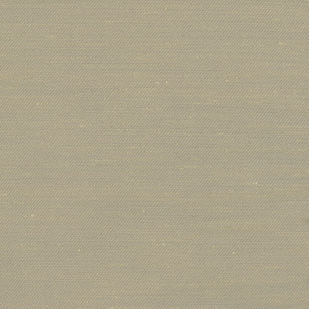 Rumi Almond by Carole Designer Fabric Gala 100% Polyester India N/A None 54" - Swanky Fabrics -