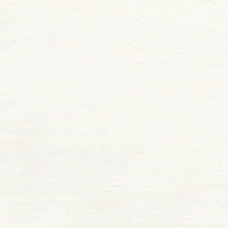 Carole Fabric Rumi White Gala 100% Polyester India None 54" - My Fabric Connection -