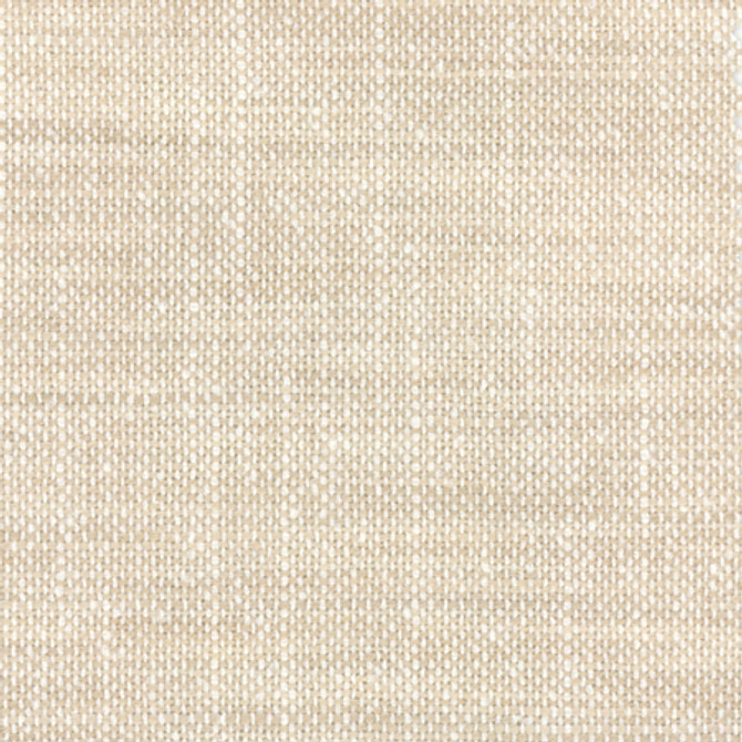 Carole Fabric El Sol Driftwood Head Start,Power Play 100% Polyester N/A None 55" - My Fabric Connection -
