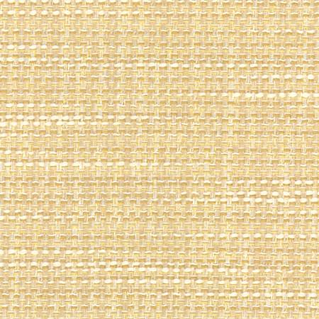 Endurance Sugar Cookie by Carole Designer Fabric Head Start 100% Polyester IFR Hybrid India 75,000 Wyzenbeek Double Rubs None 54" - Swanky Fabrics -