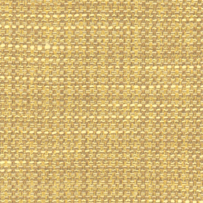 Carole Fabric Endurance Sunglow Head Start 100% Polyester IFR Hybrid India None 54" - My Fabric Connection -