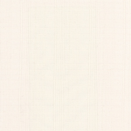 Carole Fabric Intention Cotton Head Start 100% Polyester Taiwan None 54" - My Fabric Connection -