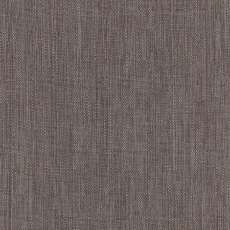 Carole Fabric Intention Dusk Head Start 100% Polyester Taiwan None 54" - My Fabric Connection -