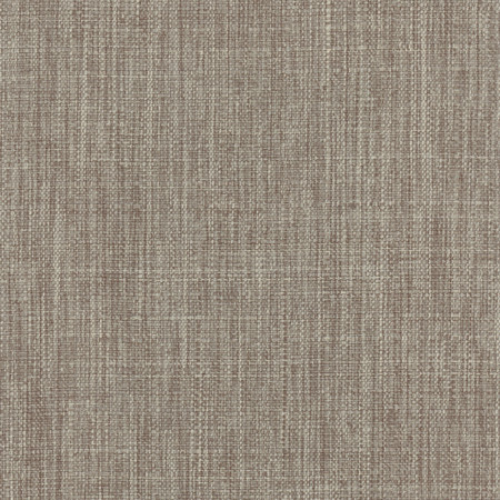 Carole Fabric Intention Smoke Head Start 100% Polyester Taiwan None 54" - My Fabric Connection -