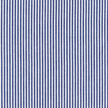 Carole Fabric Emmy Royal In The Details 100% Cotton India 1 1/4" H 54" - My Fabric Connection -