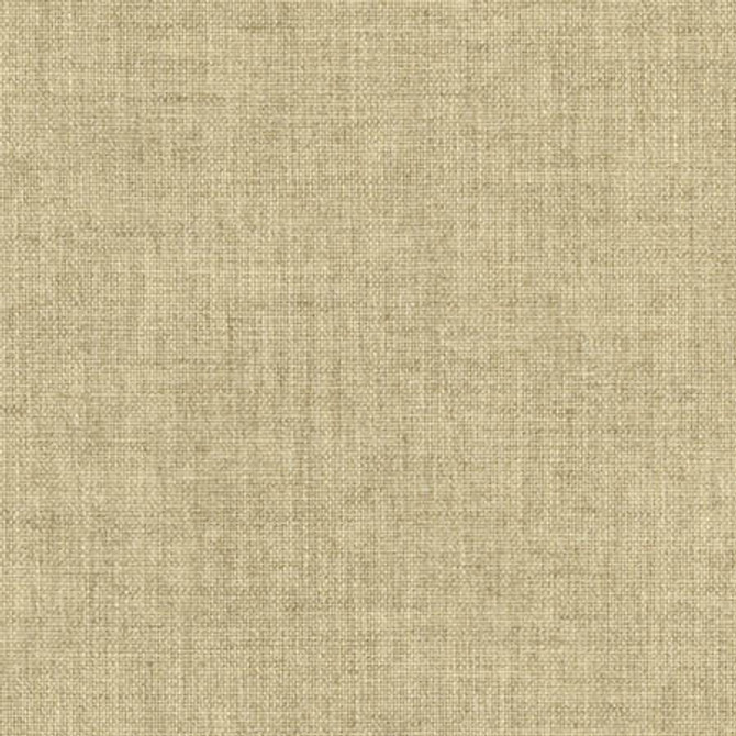 Aerial Khaki by Carole Designer Fabric Laguna 100% Polyester INDIA 50,000 Wyzenbeek Double Rubs None 54" - Swanky Fabrics -