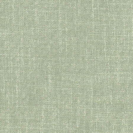 Carole Fabric Enthusiasm Mint Laguna 100% Polyester INDIA None 54" - My Fabric Connection -