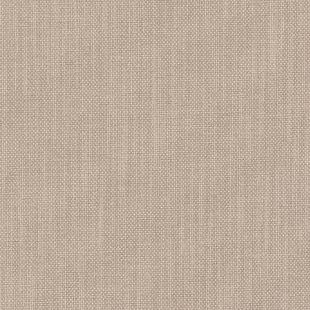 Carole Fabric Liberty Froth Liberty II 100% Polyester India None 54" - My Fabric Connection -