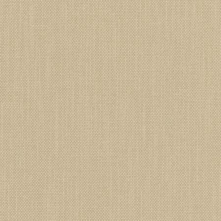 Carole Fabric Liberty Harvest Liberty II 100% Polyester India None 54" - My Fabric Connection -