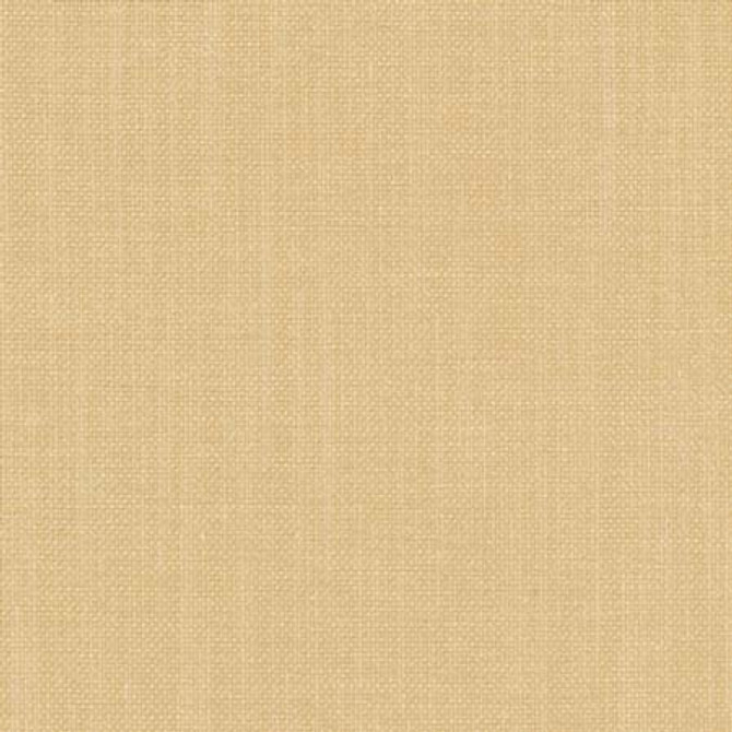 Liberty Maize by Carole Designer Fabric Liberty II 100% Polyester India 50,000 Wyzenbeek Double Rubs None 54" - Swanky Fabrics -