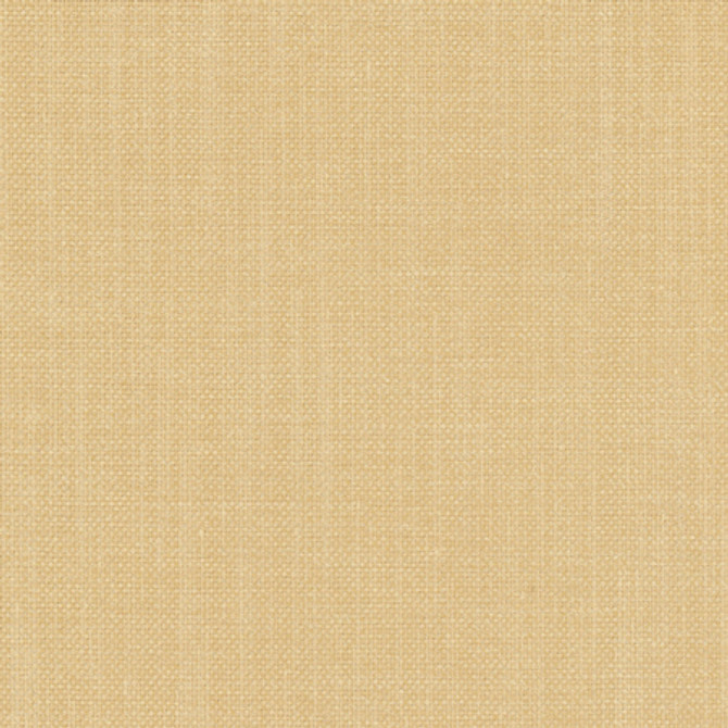 <p>Carole Fabric Liberty Maize</p><p><strong>Required Minimum Quantity Purchase: 2 yards</strong></p><p>Book: Liberty II,Tuscan Sun</p><p>Content: 100% Polyester</p><p>Origin: </p><p>Performance: 50,000 Wyzenbeek Double Rubs</p><p>Repeat: None</p><p>Width: 54"</p>