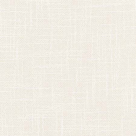 Carole Fabric As Always Coconut See It Through 100% Polyester Turkey None 55.5" - My Fabric Connection -