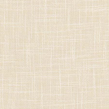 Carole Fabric As Always Parchment See It Through 100% Polyester Turkey None 55.5" - My Fabric Connection -