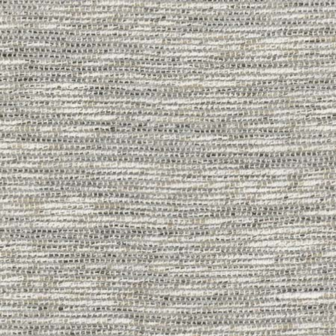 Carole Fabric Book Club Steel See It Through 66% Polyester, 34% Cotton India None 56" - My Fabric Connection -