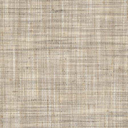Create Twig by Carole Designer Fabric See It Through 100% Polyester India N/A None 55" - Swanky Fabrics -