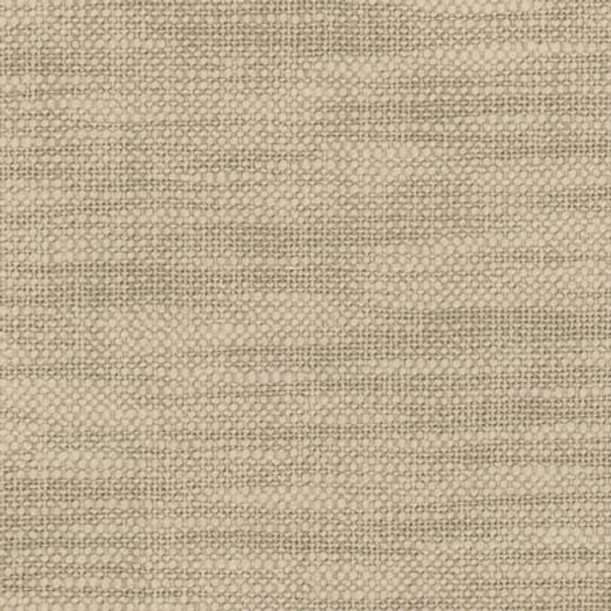From The Start Flaxen by Carole Designer Fabric See It Through 66% Cotton, 34% Polyester India N/A None 55.25" - Swanky Fabrics -