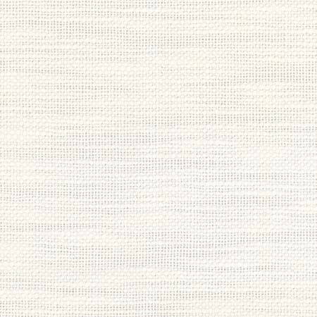 Carole Fabric From The Start Swan See It Through 66% Cotton, 34% Polyester India None 55.25" - My Fabric Connection -