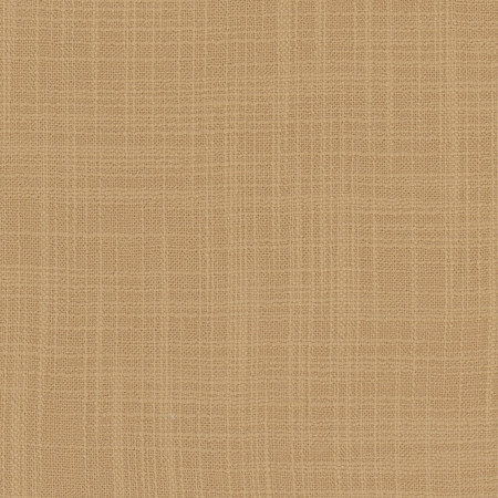 Carole Fabric Lets Be Real Cashew See It Through 100% Recycled Polyester India None 54" - My Fabric Connection -