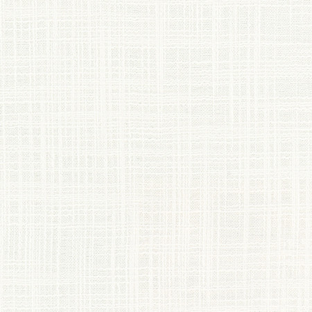 Carole Fabric Lets Be Real Natural See It Through 100% Recycled Polyester India None 54" - My Fabric Connection -