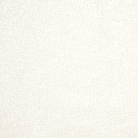 Gravel Path Cream by Carole Designer Fabric State Of The Art 100% Polyester INDIA 30,000 Wyzenbeek Double Rubs None 54" - Swanky Fabrics -