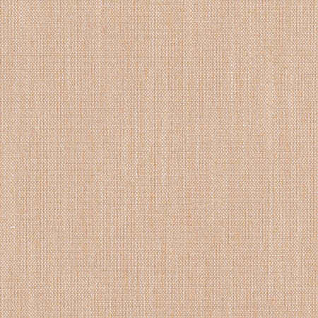 Carole Fabric Aerial Blush Sunbaked 100% Polyester INDIA None 54" - My Fabric Connection -