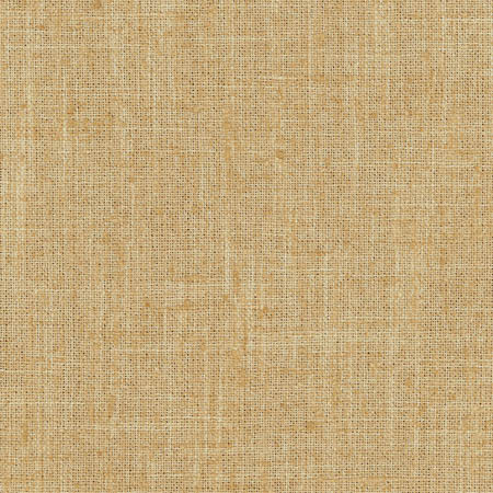 Carole Fabric Consultant Chino Sunbaked 100% Polyester INDIA None 54" - My Fabric Connection -