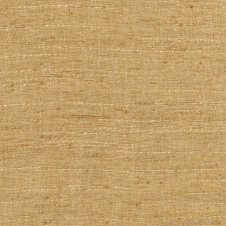 Carole Fabric Training Day Mustard Sunbaked 92% Polyester, 8% Cotton INDIA None 54" - My Fabric Connection -