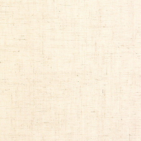 <p>Carole Fabric Duty Calls Natural</p><p><strong>Required Minimum Quantity Purchase: 2 yards</strong></p><p>Book: Toasted Almond,Sea Salt</p><p>Content: 77% Polyester, 14% Cotton, 9% Linen</p><p>Origin: </p><p>Performance: N/A</p><p>Repeat: None</p><p>Width: 54"</p>