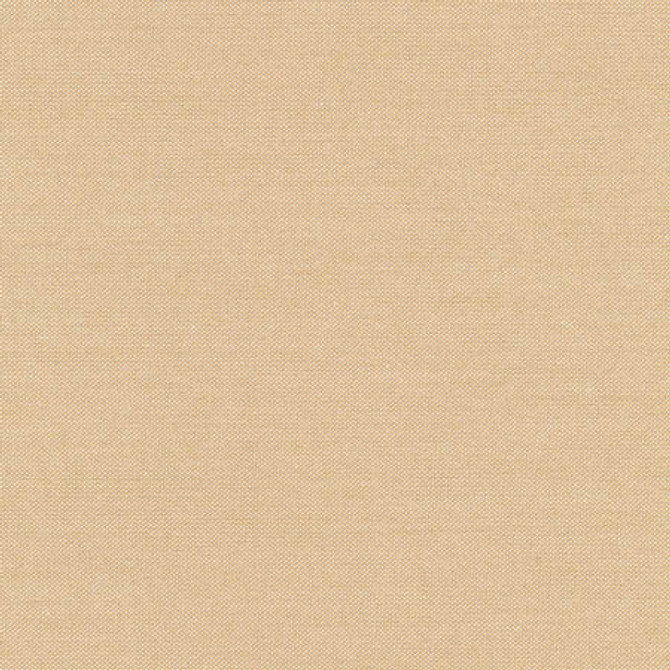 Freshman Camel by Carole Designer Fabric Toasted Almond 100% Polyester INDIA 100,000 Wyzenbeek Double Rubs None 54" - Swanky Fabrics -